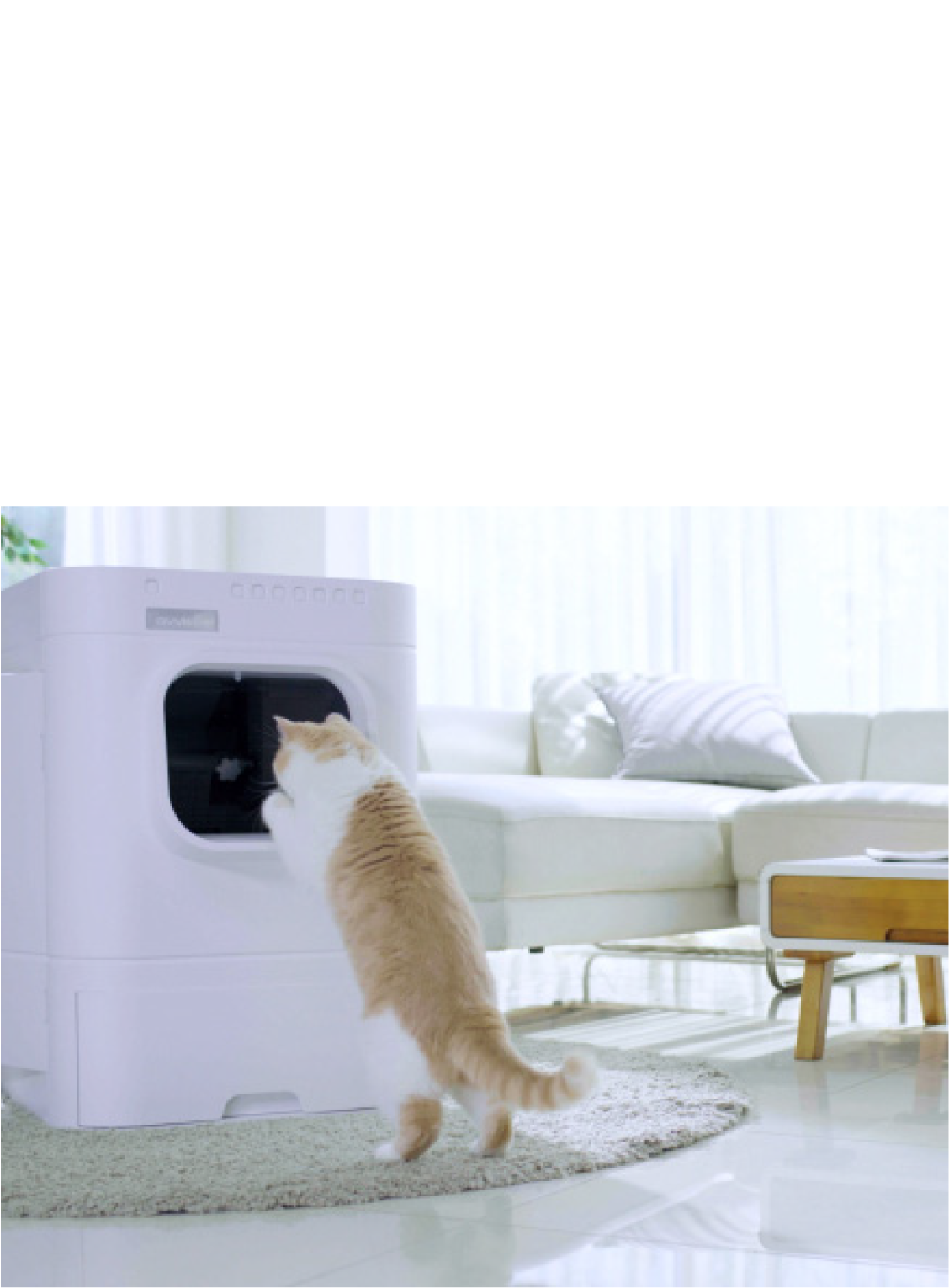 Lavviebot best sale litter box